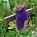 Sherry Sealy - Facebook