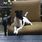 Sherry Sealy - @sherry_sealy - Instagram