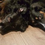 Sherry Sears - @sher_sher52 - Instagram