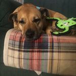 Sherry Sedgwick - @sherrysedgwick - Instagram