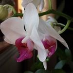 sherri seiler - @seilersherri - Instagram