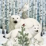 Sherry Heinselman - @sherryheinselman - Instagram