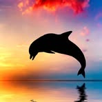 Sherry Sexton - Facebook