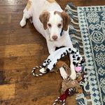 Sherry Sexton Pruett - @sherrylynn0228 - Instagram