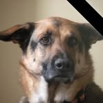 Sherry Armstrong-Shaver - @armstrongshaver - Instagram