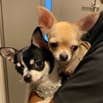shell &sherry - @shell__sherry__ - Instagram