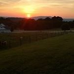 Sherry Shepard - @sherryshep17 - Instagram