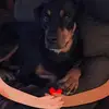 sherryshepard6 - @sherryshepard6 - TikTok