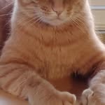 Sherry Sides - @sherrysides4747 - Instagram