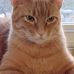 Sherry Sides - Facebook