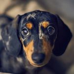 sherry silcox - @sherrysilcox108 - Instagram