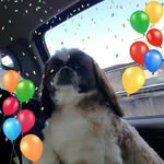 Sherry Simonson Martinson - @martinson852 - Instagram