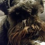 Sherry Sinclair - @nzsherry007 - Instagram