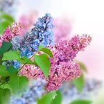 Sherry Slocum - @slslocum62 - Instagram