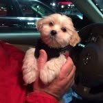 Sherry Slone Woody - @sherrywoody74 - Instagram