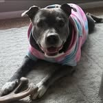 Sherry Smith - @shrrysmith - Instagram