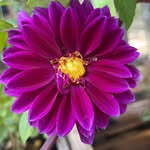 Sherry Smith - @refined_sherrysmith - Instagram