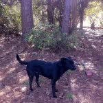 Sherry Sorrell - @sherrysorrell5 - Instagram