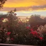 Sherry Coleman Sowell - @s._.sowell - Instagram