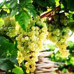 Sherry Spain - @sherryspainshop - Instagram