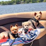 Sherry Proper Spangler - @properspangler - Instagram