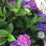 Sherry Spangler - @sherry.spangler.581 - Instagram