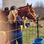 Sherri Spaulding - @sherrispaulding - Instagram