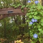 Sherry Gilman Spaulding - @chasrter_667_lynw - Instagram