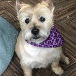 Sherry Gilman Spaulding - @romanlunkenheimer - Instagram