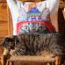 Sherry Spaulding - Facebook