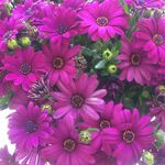 Sherry Spence - @sherry.spence - Instagram