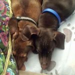 Sherry Spinks - @sherry_spinks - Instagram