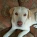 Sherri Spires - Facebook