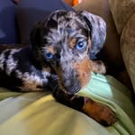 Sherry Rector Spires - @elepsmom - Instagram
