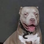 Sherry Hall Spivey - @sherry_hall_spivey - Instagram