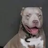 sherryhallspivey - @sherryhallspivey - TikTok