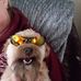 Sherry Stacey - Facebook