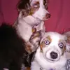 Sherry Stacy - @sherry.stacy2 - TikTok