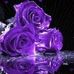 Sherrie Staggs - Facebook