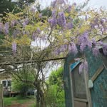 Sherry Stone Stanfield Stone - @sher.ry4873 - Instagram
