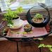 Sherri Stecker - Facebook