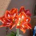 Stocker Chirwa - Facebook