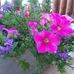 Sherry Sterling - Facebook