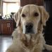 Sherry Sterling - Facebook