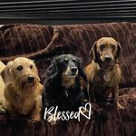 Sherri Stogsdill-May - @sherristogsdillmay - Instagram