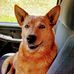 Sherry Stoner - Facebook