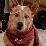 Sherry Stoner - @sherry.stoner.161 - Instagram