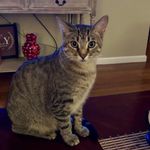 Sherry Lavoie Streeter - @streetersherry62 - Instagram