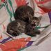 Sherry Strunk - Facebook