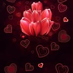 Sherry Baumgarten Tackett - @sewirun51 - Instagram